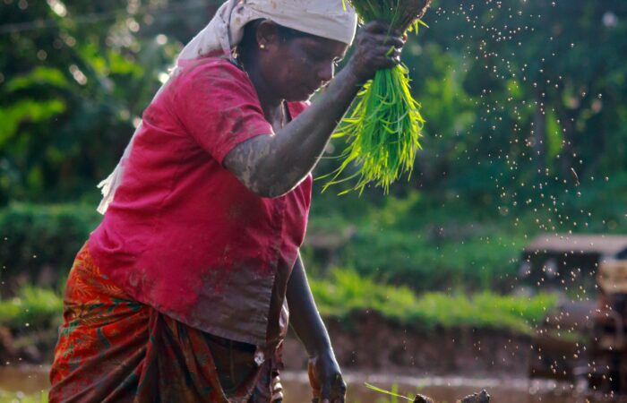 organic-farming-tile